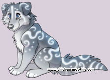 Pet
