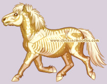 Pet