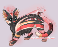 Pet