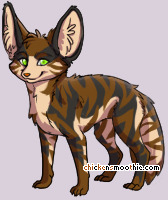 Pet