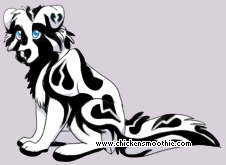 Pet