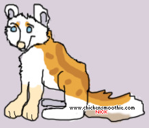 Pet