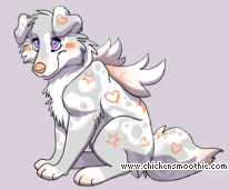 Pet