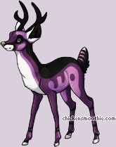 Pet