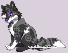 Pet