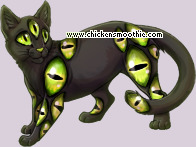 Pet