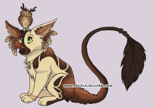 Pet
