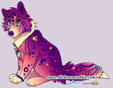 Pet