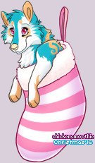 Pet
