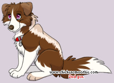 Pet