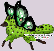 Pet