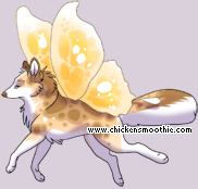 Pet