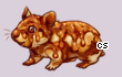 Pet