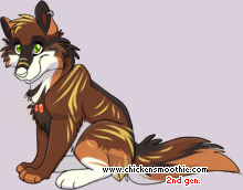 Pet