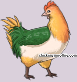 Pet