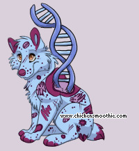Pet