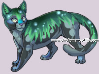 Pet