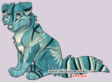 Pet