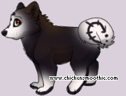Pet