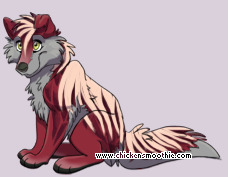 Pet