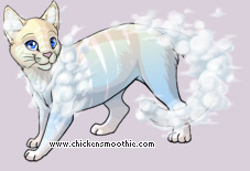 Pet