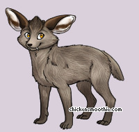Pet