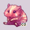 Pet