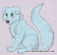 Pet