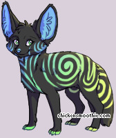 Pet