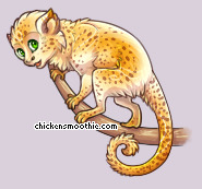 Pet