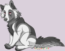 Pet
