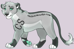Pet