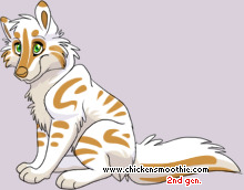Pet