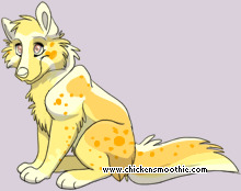 Pet