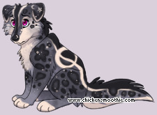 Pet