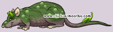 Pet