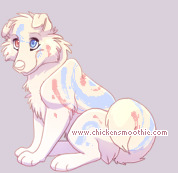 Pet