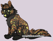 Pet