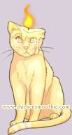 Pet