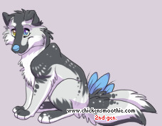 Pet
