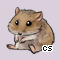 Pet