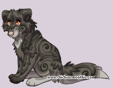 Pet