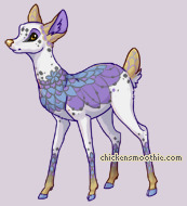 Pet