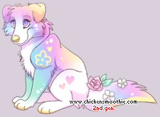 Pet