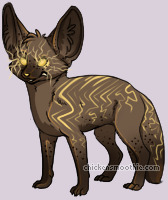 Pet