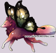 Pet