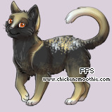 Pet