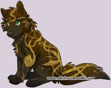 Pet
