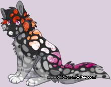 Pet