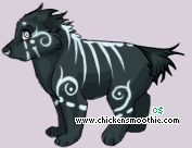 Pet